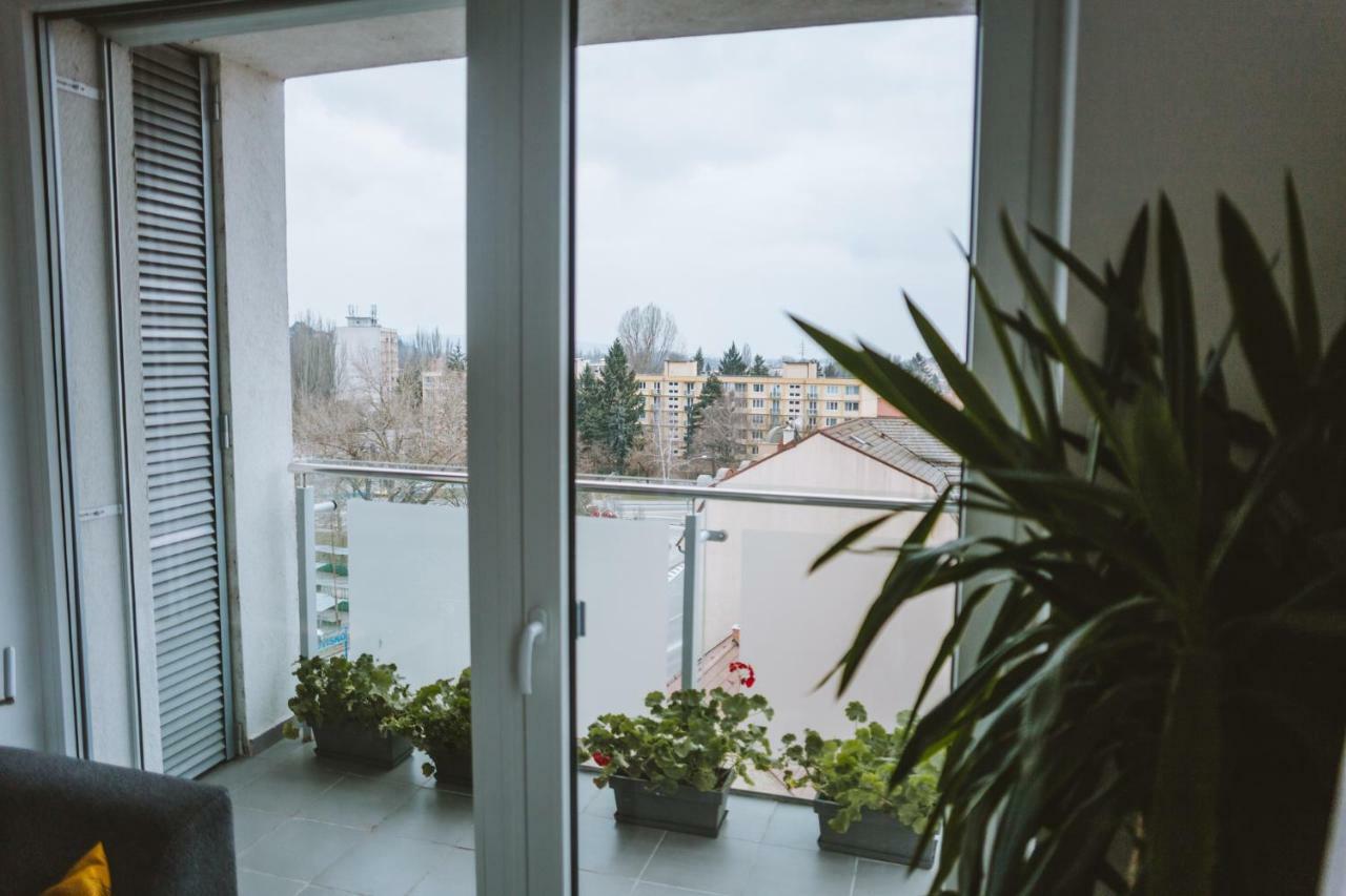 Design Apartment, The City Centre Close To The Health Spa П'єштяни Екстер'єр фото